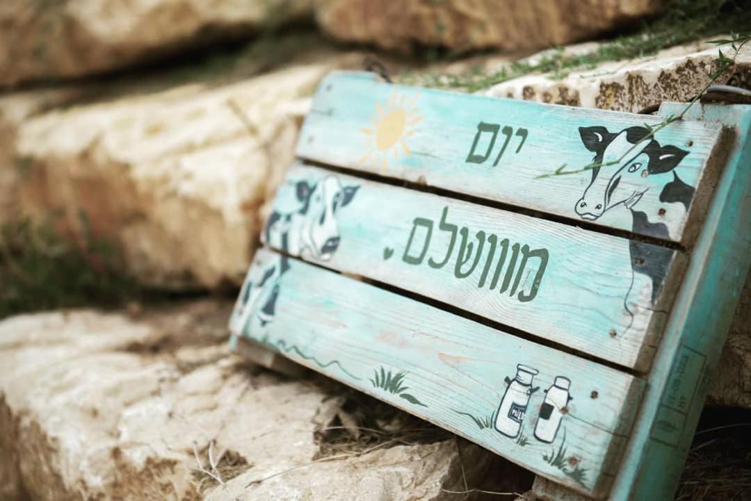 חלון לגלבוע צימר בוטיק בעמק המעיינות Bet Alfa ภายนอก รูปภาพ